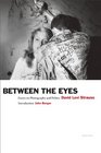 Between the Eyes Essays on Photography and Politics