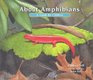 About Amphibians A Guide for Children