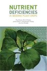 Nutrient Deficiencies in Bedding Plant Crops