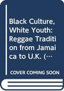 Black Culture White Youth Reggae Tradition from Jamaica to UK