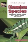 Chameleons Vol.1: Species