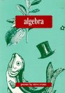 Algebra Poems by Steve Evans