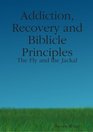 Addiction Recovery and Biblicle Principles The Fly and the Jackal