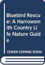 Bluebird Rescue A Harrowsmith Country Life Nature Guide