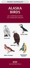 Alaska Birds An Introduction to Familiar Species