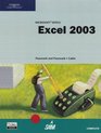 Microsoft Office Excel 2003 Complete Tutorial