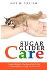 Sugar Gliders The Essential Guide to Ownership  Care for Your Pet