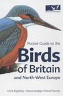 Pocket Guide to the Birds of Britain and NorthWest Europe