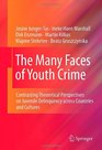 The Many Faces of Youth Crime Contrasting Theoretical Perspectives on Juvenile Delinquency across Countries and Cultures