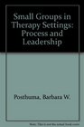 Small Groups in Therapy Settings Process and Leadership