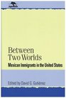 Between Two Worlds Mexican Immigrants in the United States  Mexican Immigrants in the United States