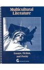 Multicultural Literature Essays Fiction and Poetry