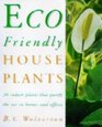 Eco-Friendly Houseplants: 50 Indoor Plants That Purify the Air in Houses and Offices