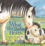 What the Baby Hears
