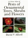 A Colour Atlas of Pests of Ornamental Trees Shrubs and Flowers