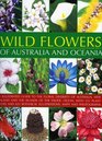 Wild Flowers of Australia and Oceania An illustrated guide to the floral diversity of Australia New Zealand and the islands of the Pacific Ocean with  illustrations maps and photographs