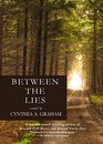 Between the Lies: A Novel (Hick Blackburn)