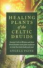 Healing Plants of the Celtic Druids Ancient Celts in Britain and their Druid Healers Used Plant Medicine to Treat the Mind Body and Soul