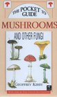 Mushrooms  Fungi