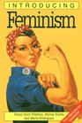 Introducing Feminism