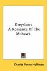 Greyslaer A Romance Of The Mohawk