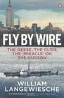 Fly by Wire The Geese the Glide the 'Miracle' on the Hudson