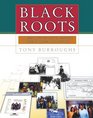 Black Roots  A Beginners Guide To Tracing The African American Family Tree