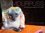 Glamourpuss The Enchanting World of Kitty Wigs