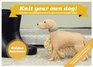 Best in Show Golden Retriever Kit Knit Your Own Dog