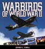Warbirds of WW2