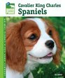 Cavalier King Charles Spaniels