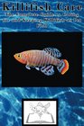 Killifish Care The Complete Guide to Caring for and Keeping Killifish as Pet Fish