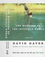 The Wonders of the Invisible World