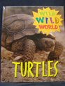 Wild Wild World  Turtles