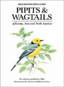 Pipits and Wagtails of Europe Asia and North America