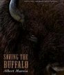 Saving The  Buffalo