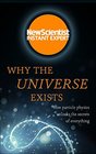 Why the Universe Exists How particle physics unlocks the secrets of everything
