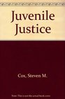 Juvenile Justice A Guide to Practice and Theory
