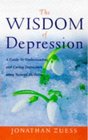 The Wisdom of Depression A Guide to Understanding Depression Using Natural Medicine