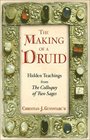 The Making of a Druid : Hidden Teachings from IThe Colloquy of Two Sages/I