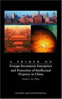 Primer on Foreign Investment Enterprises and Protection of Intellectual Property in China