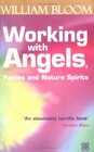 Working With Angels Fairies and Nature Spirits