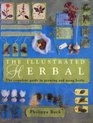 The Illustrated Herbal