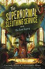 The Supernormal Sleuthing Service 1 The Lost Legacy