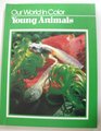 Young Animals