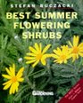 Best Summer Flowering Shrubs