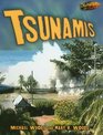 Tsunamis