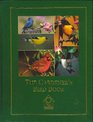 The gardener's bird book A guide to identifying understanding and attracting garden birds