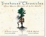 Treehouse Chronicles One Man's Dream of Life Aloft