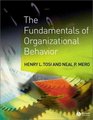The Fundamentals of Organizational Behavior What Managers Need to Know